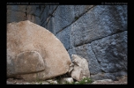 Arykanda - Antikes neu belichtet - Fotoreise Lykien, Türkei  